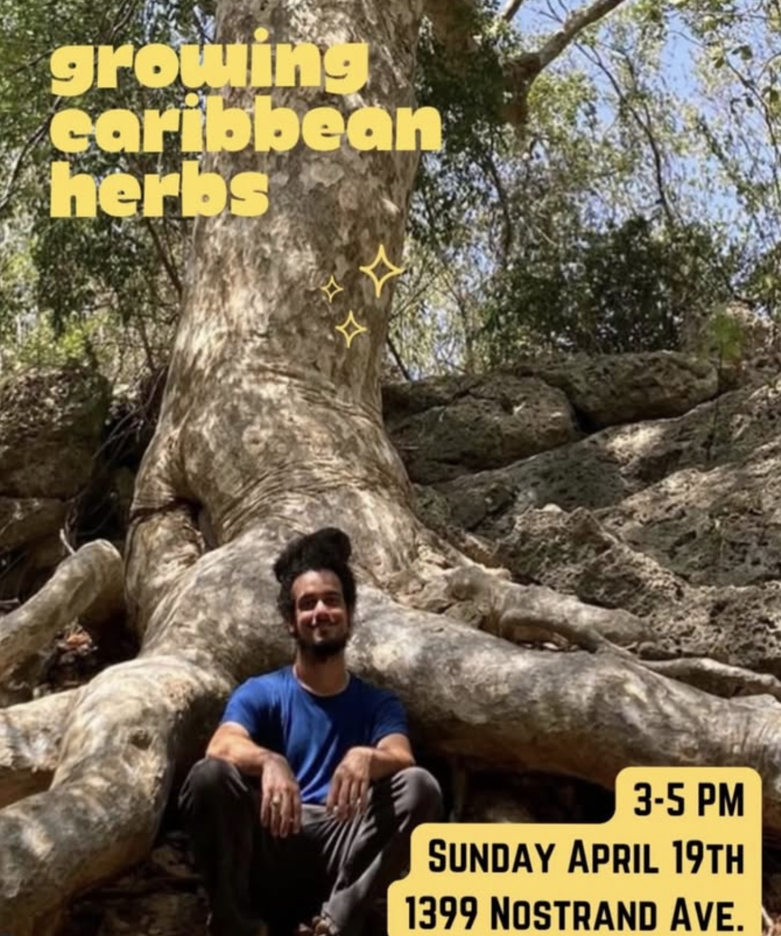 Growing Caribbean Herbs